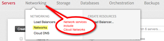 The Networking group includes Cloud Networks.