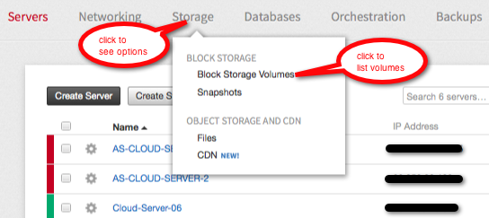 To move from Cloud Servers to Cloud Block Storage details, click Storage and then click Block Storage Volumes.